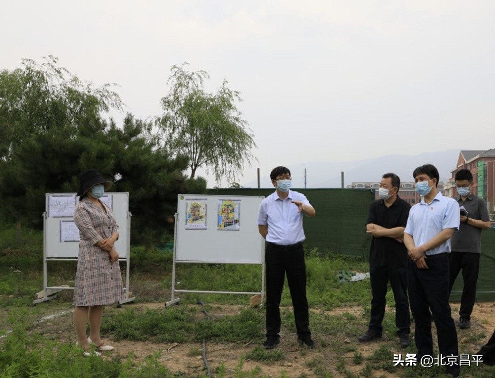 支现伟带队调研清华附中昌平学校及其西侧市政道路建设情况