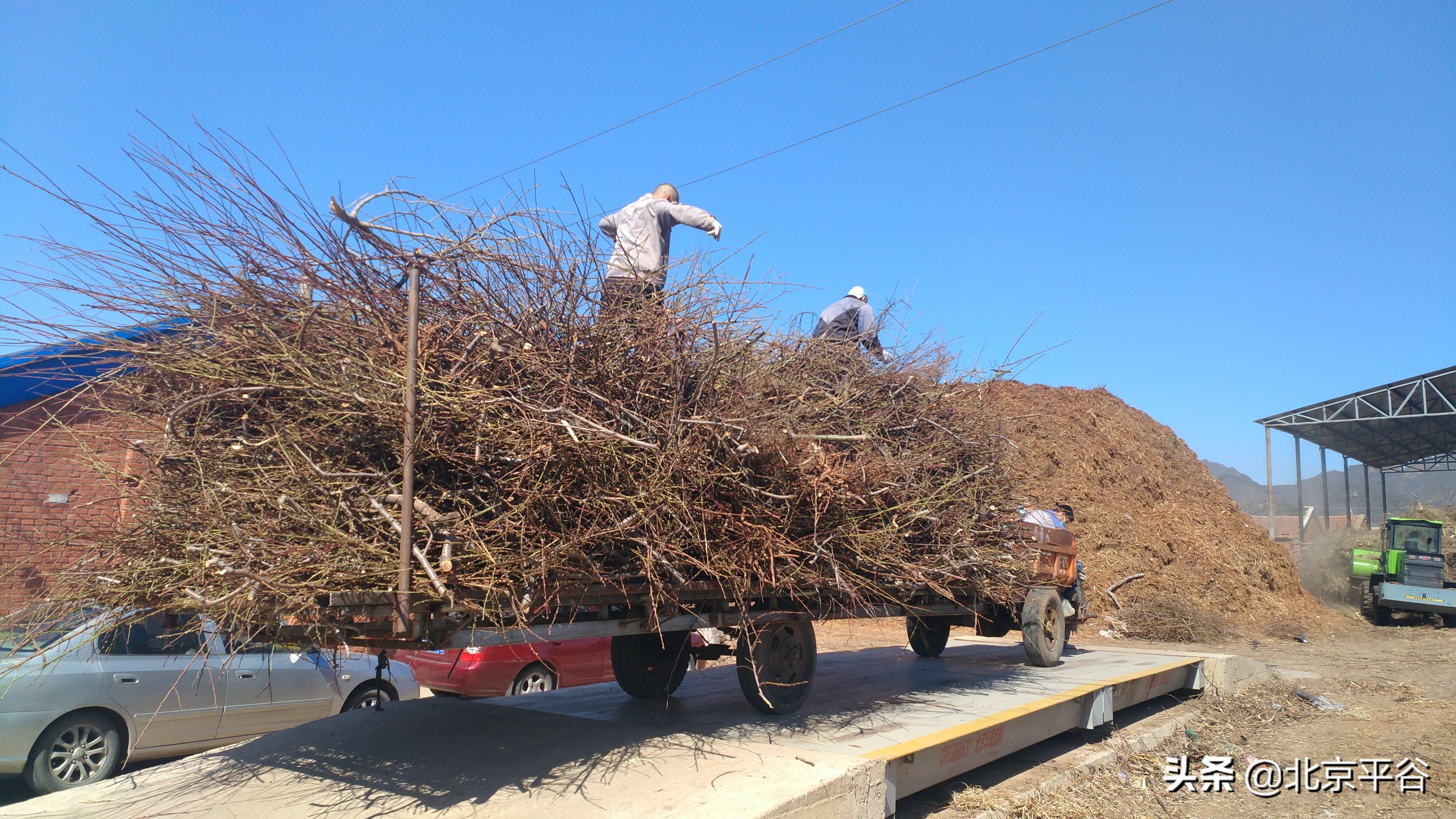 平谷金海湖镇三级联动清“四边”整治提升乡村环境