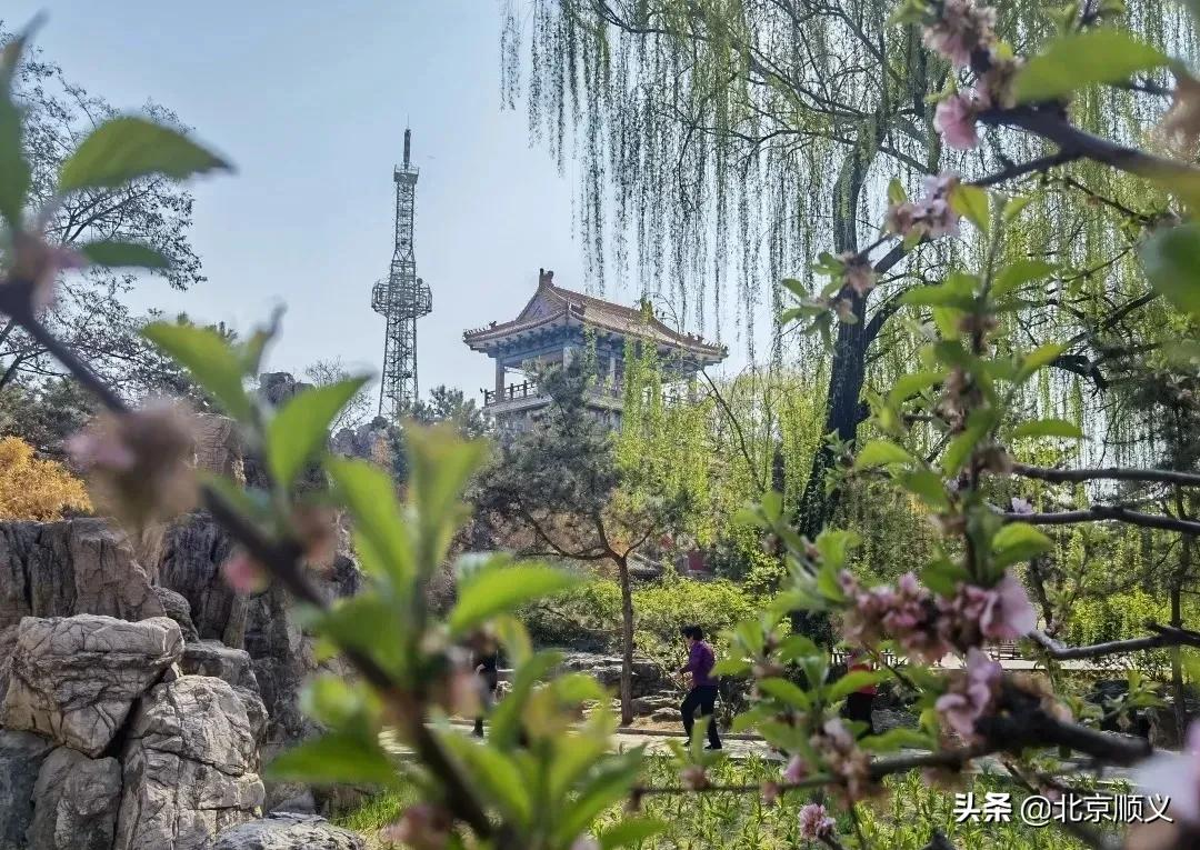 【创城有我】创城画卷，城优景美~