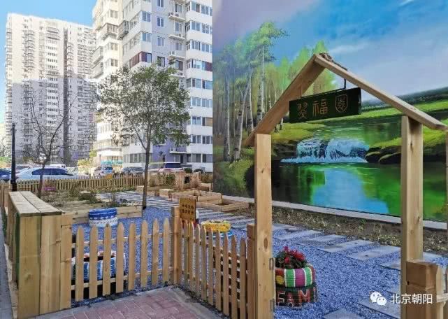 特靠谱、有干劲、有才华……这些词形容咱朝阳群众，很合适！