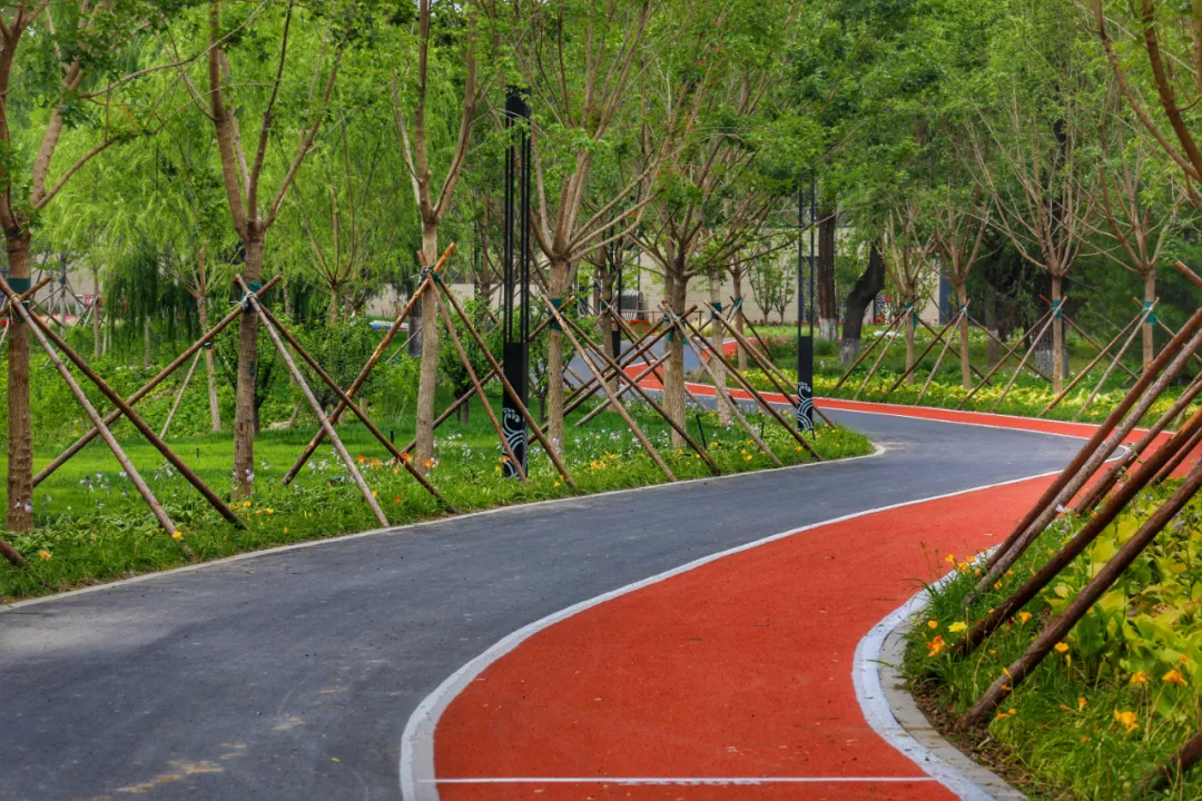 摩天轮回来了！龙潭中湖公园今天开园，免费！