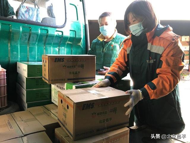 设专线、降邮费！多举措助力果农“减产不减收”