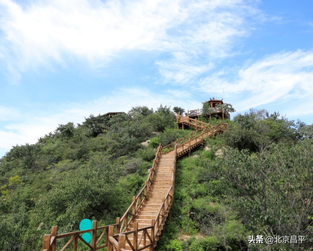 约起来！大岭沟猕猴桃谷风景区4月1日开园迎客