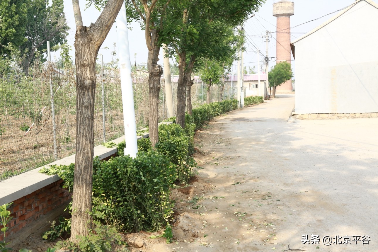抓实“疏整促” 平谷南独乐河镇村容村貌增新颜
