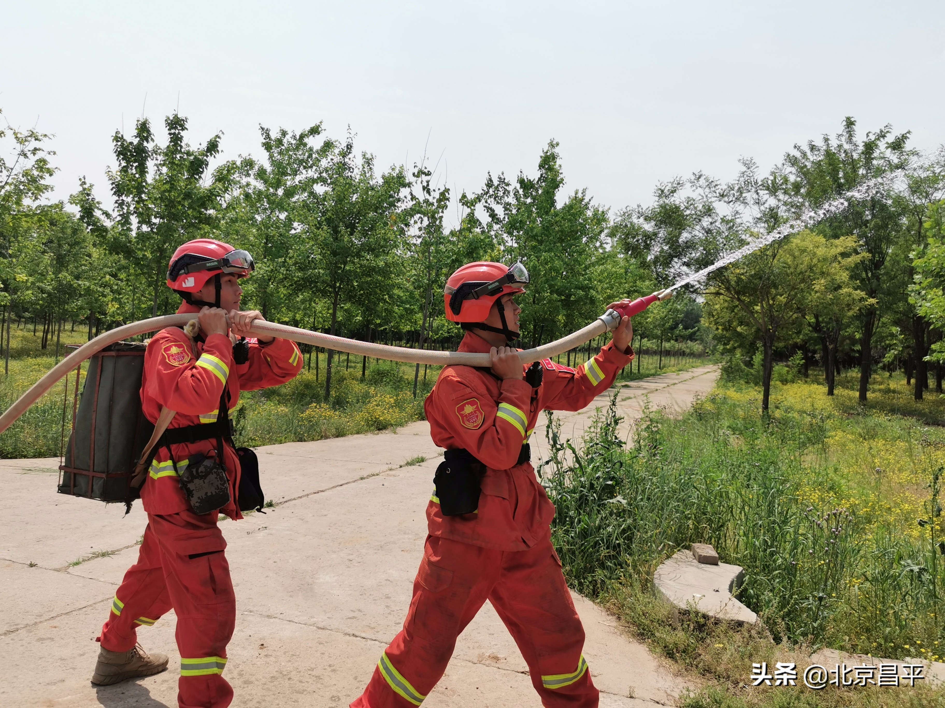 作风建设年丨织牢织密森林防火“安全网”！昌平区应急管理局有实招