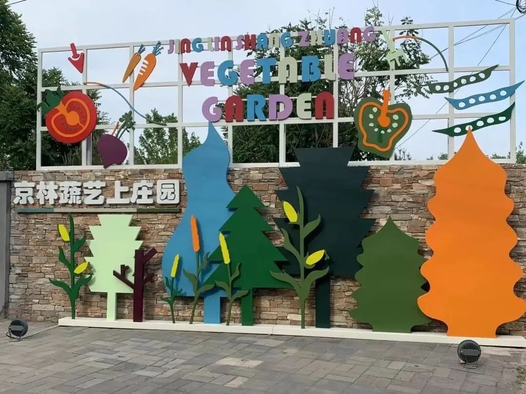 这个蔬艺园，成为推动村庄产业发展的新亮点