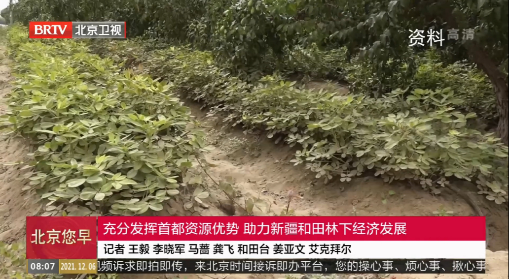 「援疆纪实」北京援疆助力受援地传统农业焕发新活力
