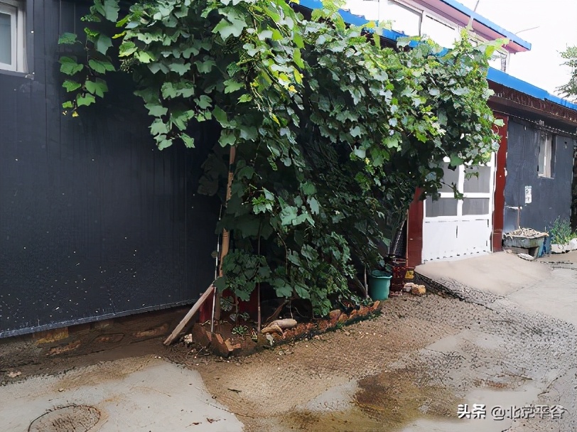 平谷大华山镇：强化“双基”建设 探索基层治理积分制管理模式