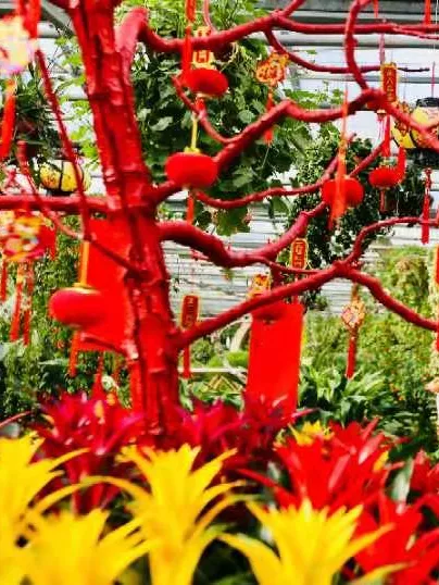 圆梦庆冬奥 正月游丰台——2022丰台正月文化旅游系列活动