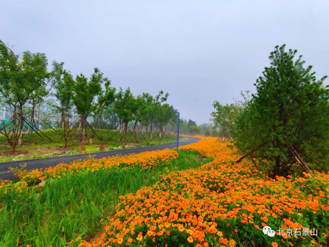 衙门口城市森林公园：京西最大规模的留白增绿片区