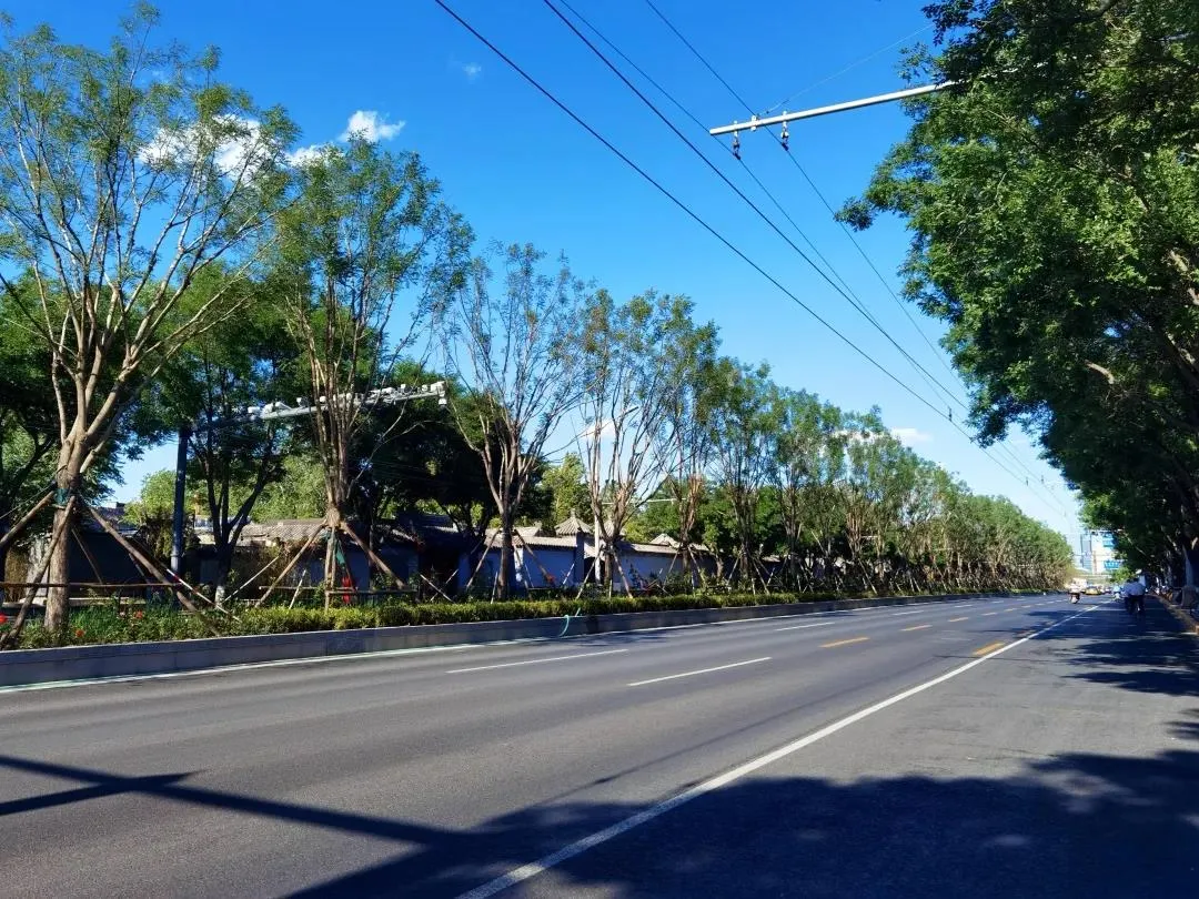 平安大街：绿荫映京韵