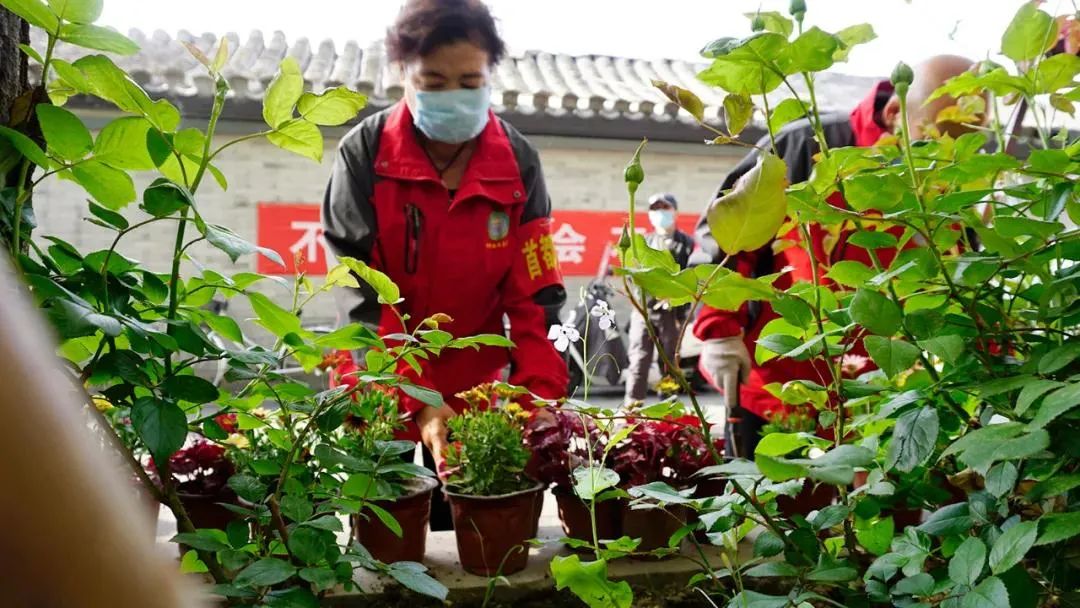 东城：建设“国际一流的和谐宜居之都”首善之区