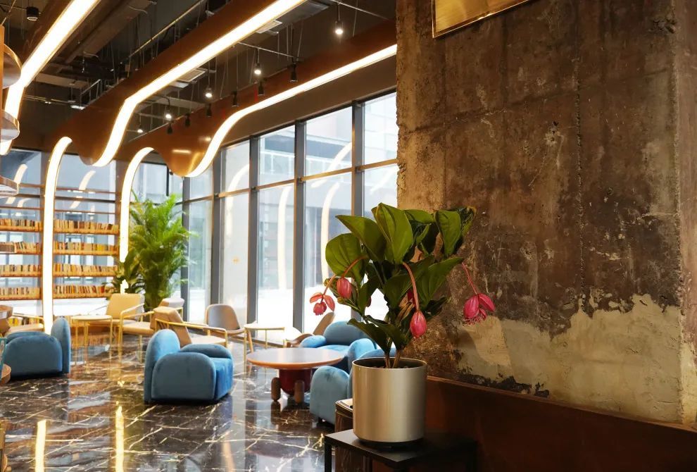 石景山首钢园的“隐藏菜单”！艺术馆里的图书馆你get到了吗？