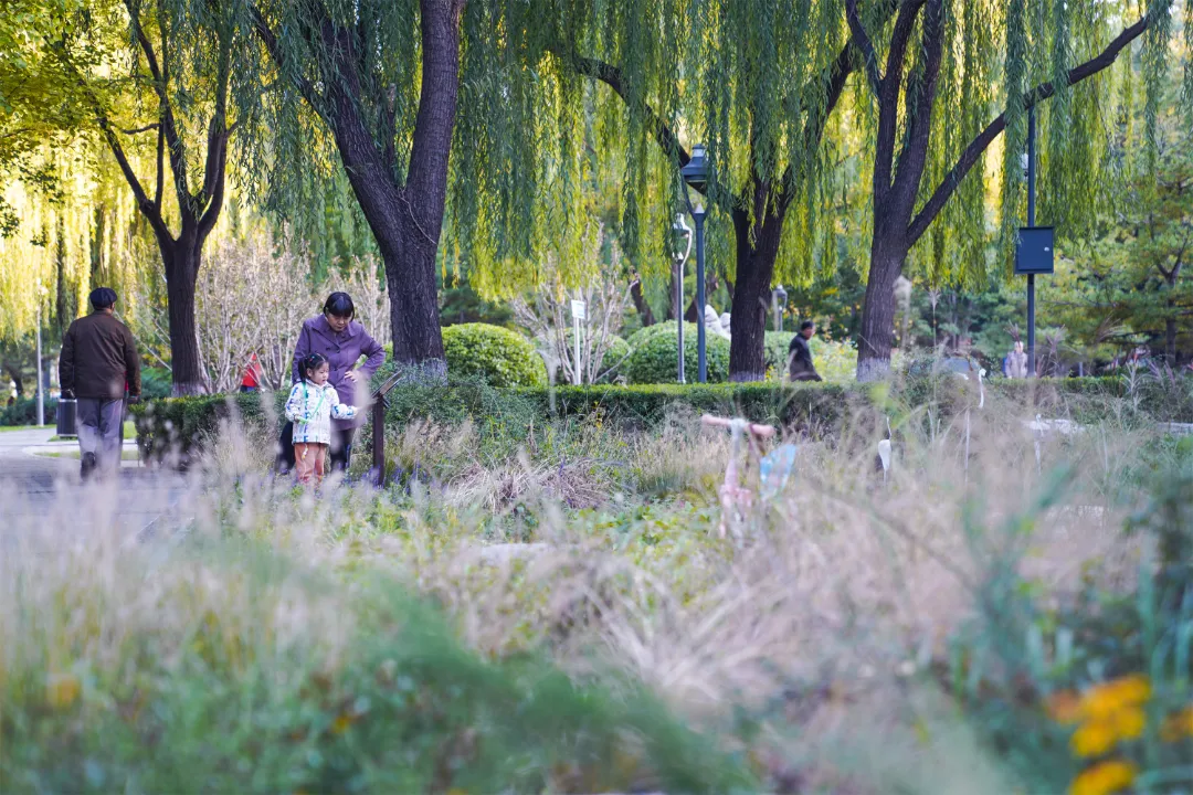 多图实拍！地坛园外园重装开园，打造全龄友好社区公园