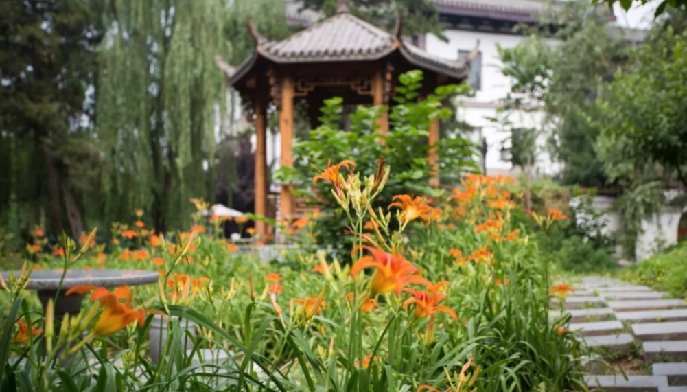 回望十三五：一村一落皆是景，美丽乡村入画来