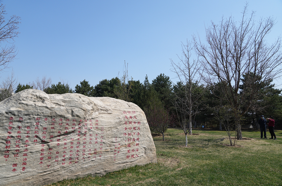 十年树木已成林！丰台区园博园已变成远近闻名的城市休闲公园