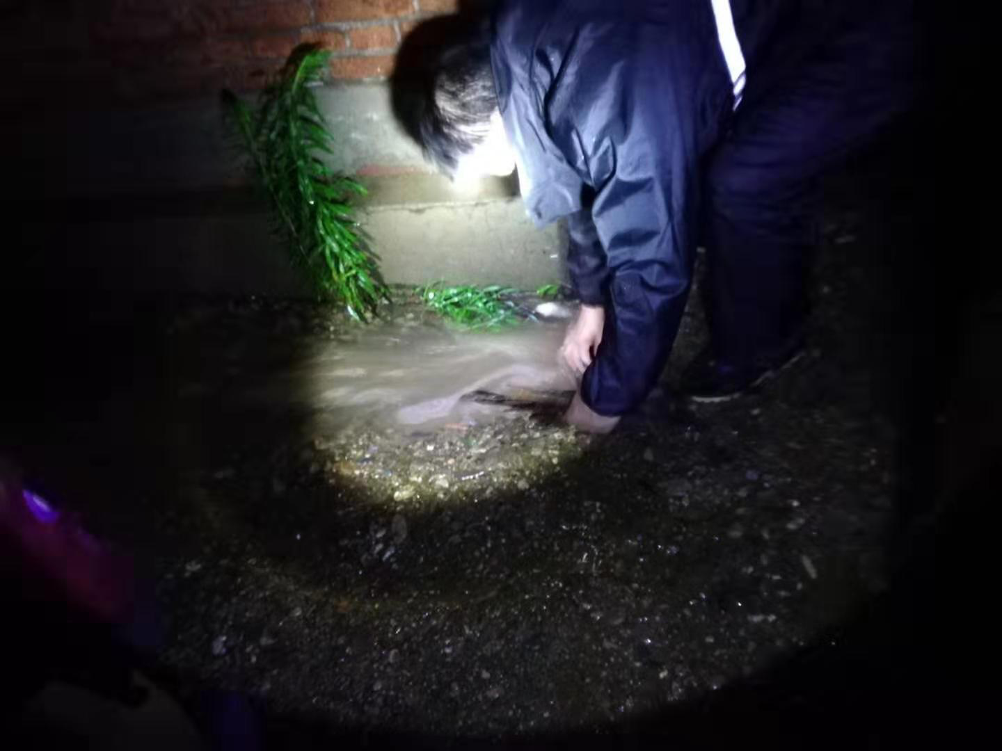 密云区不老屯镇再迎强降雨 干群齐心保平安