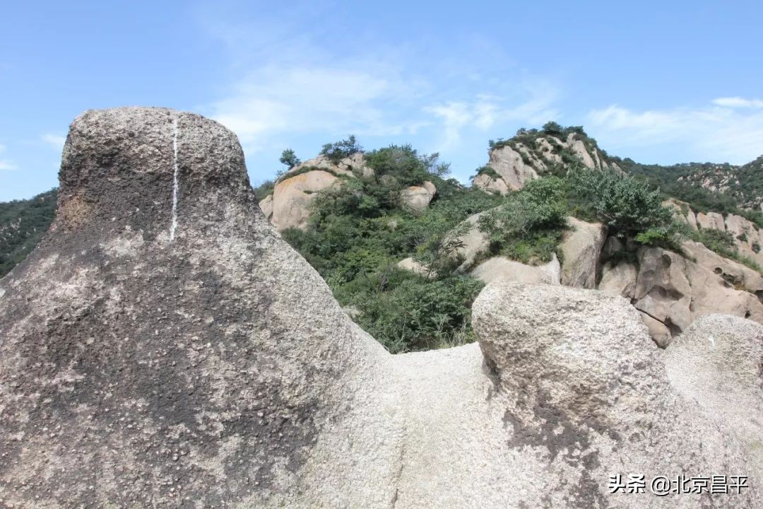约起来！大岭沟猕猴桃谷风景区4月1日开园迎客