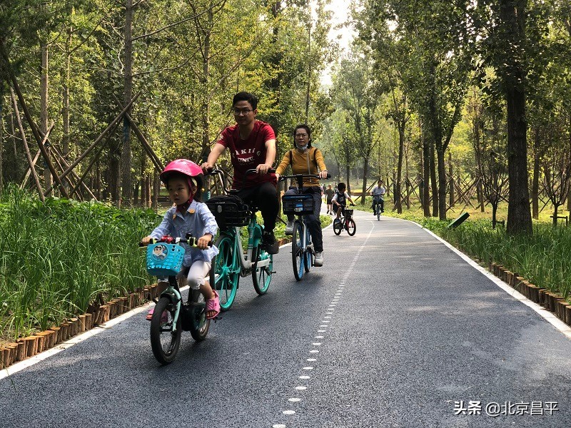 精细化治理，赋能品质“回天”