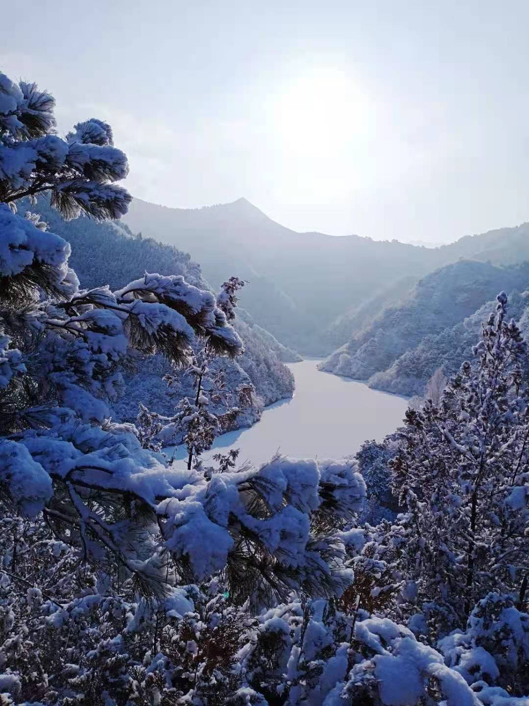 大雪过后，太师屯镇风景美如画