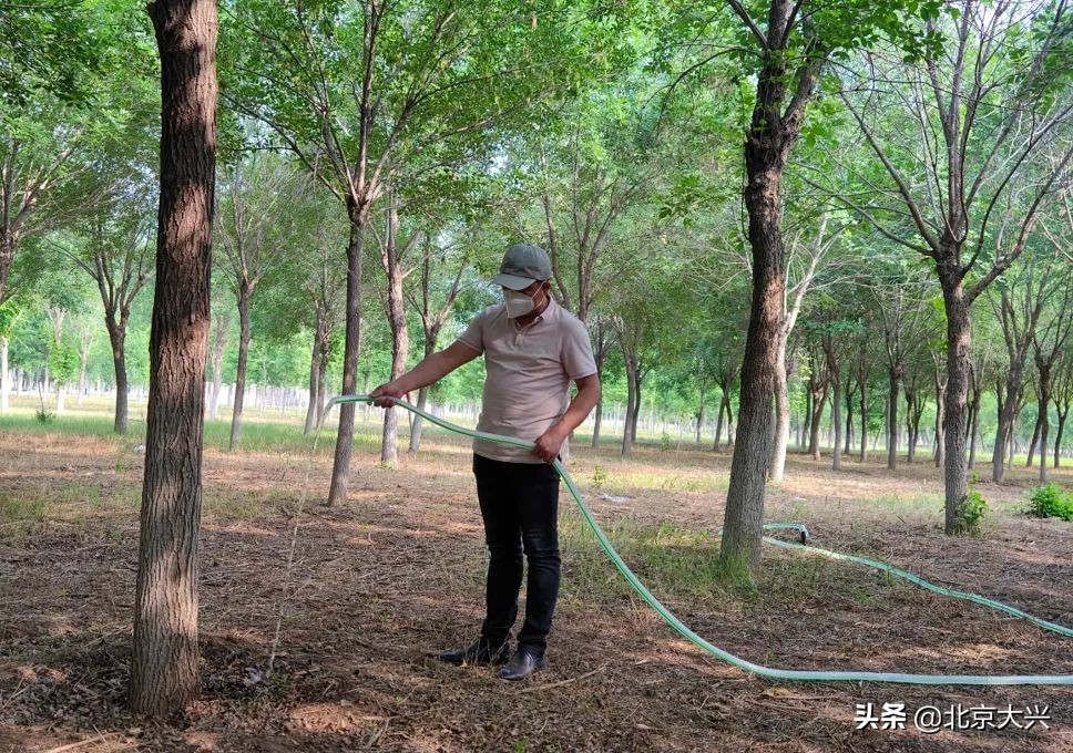 杂草荒地“变身”生态湿地，大兴这里焕然一新——