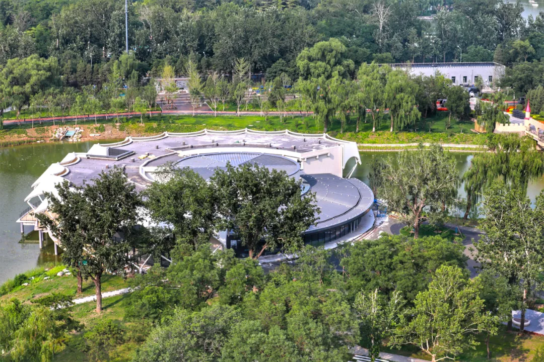 摩天轮回来了！龙潭中湖公园今天开园，免费！