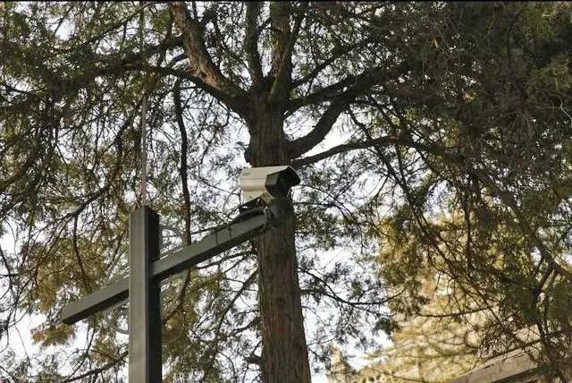 更快更智能！东城为古建筑装上消防“眼睛”