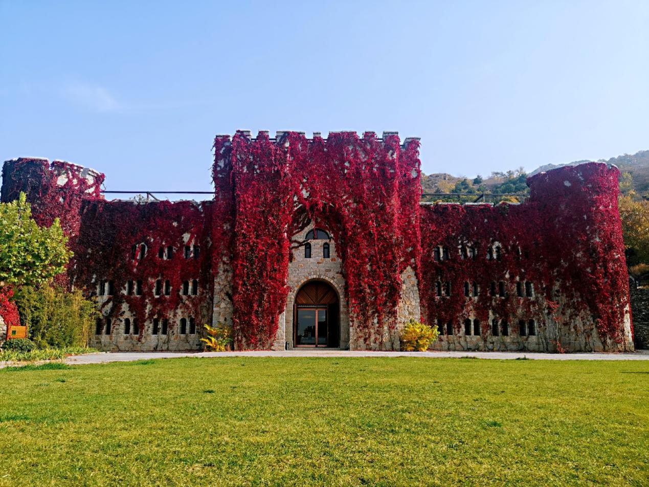 看山花、赏美景、住民宿，吃喝玩乐游太师屯