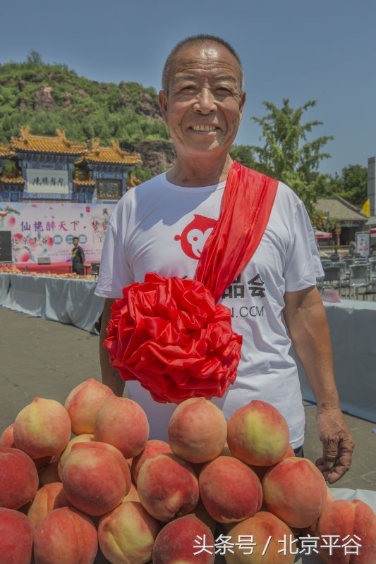 北京平谷刘家店30条评出果农诚信之星