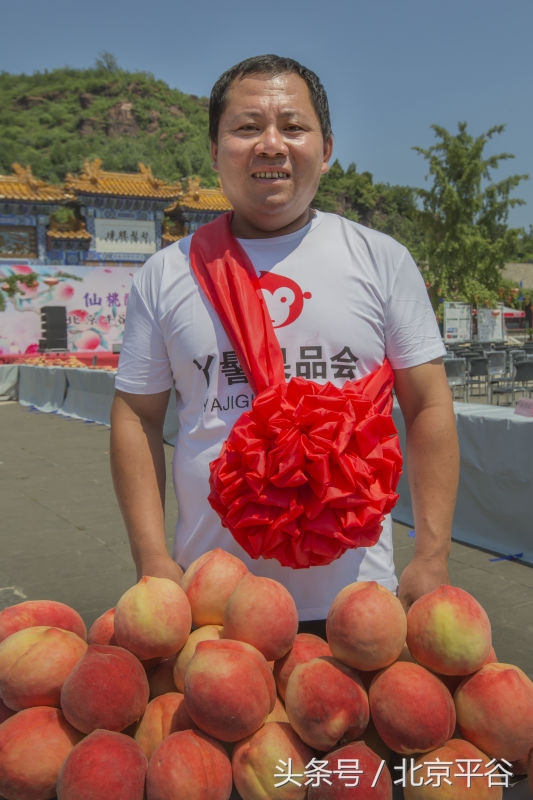 北京平谷刘家店30条评出果农诚信之星