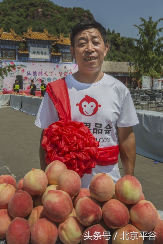 北京平谷刘家店30条评出果农诚信之星