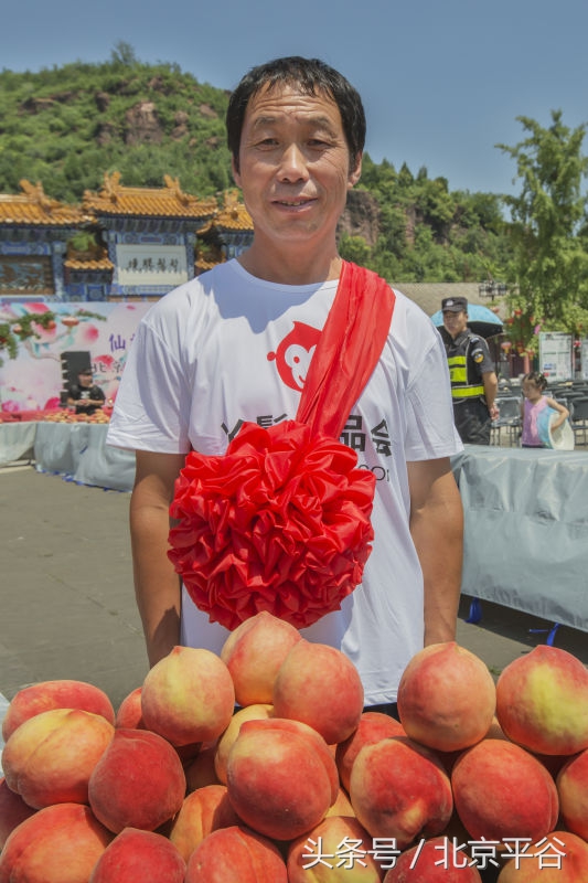 北京平谷刘家店30条评出果农诚信之星