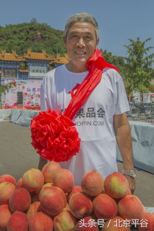 北京平谷刘家店30条评出果农诚信之星