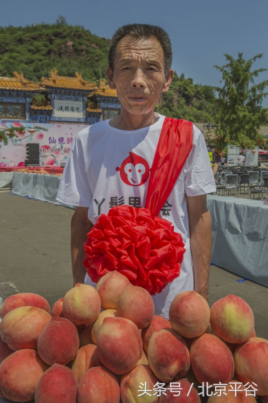北京平谷刘家店30条评出果农诚信之星