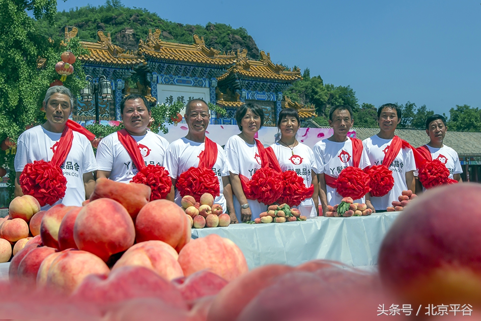 北京平谷刘家店30条评出果农诚信之星