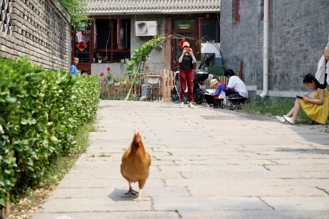 采风前门三里河，小画家画出背街小巷新风貌
