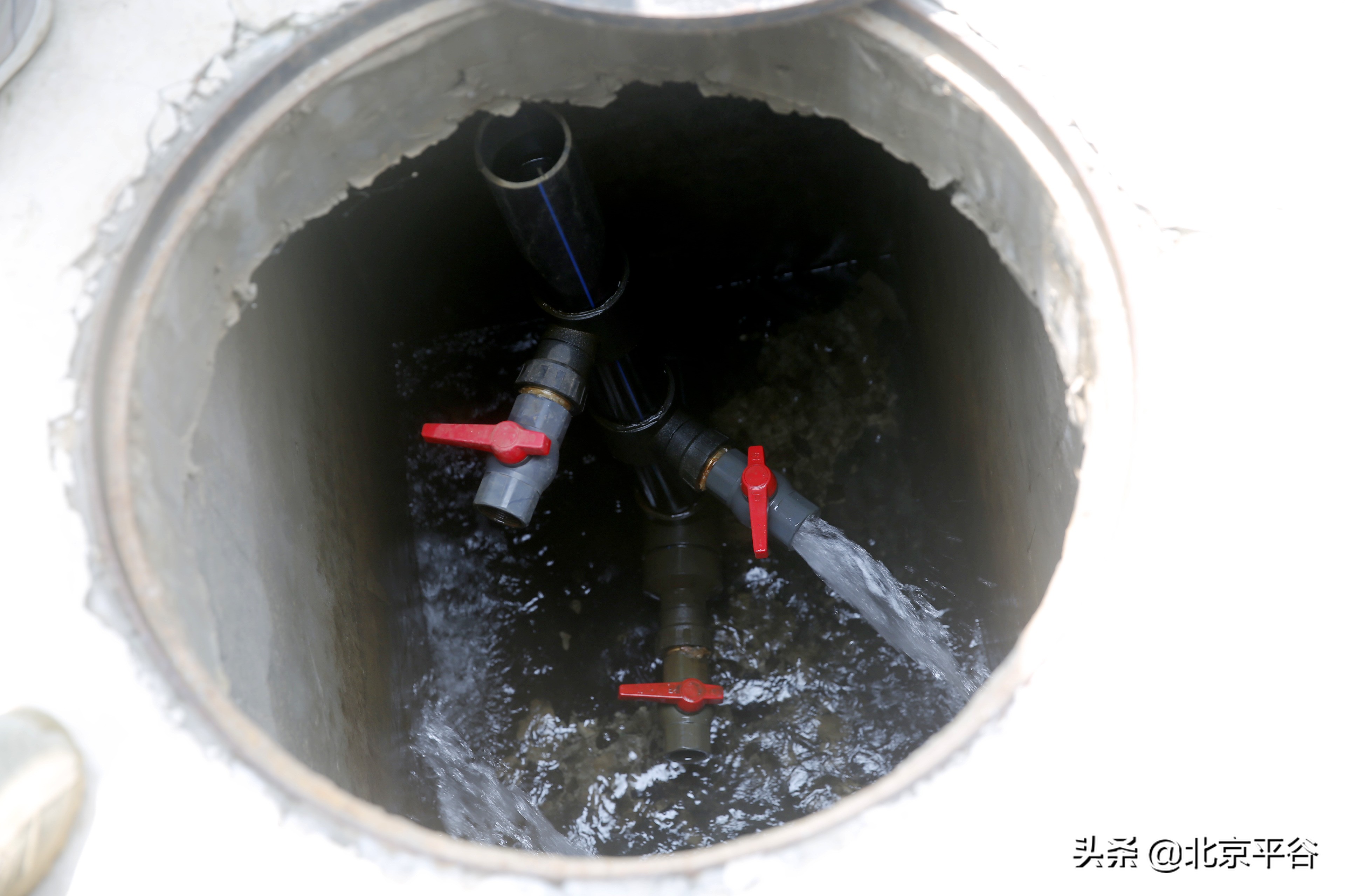 平谷大兴庄镇获批全国农村综合改革标准化试点