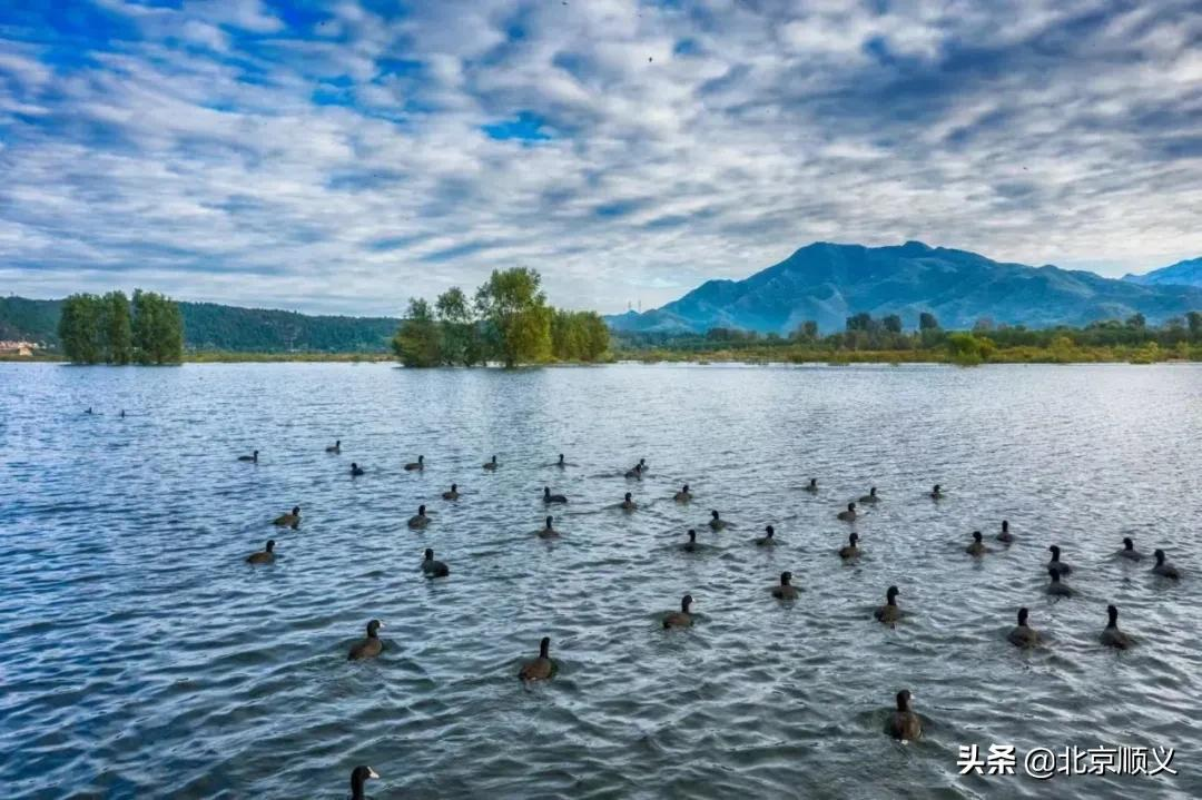 【创城有我】生态补水成效明显，干涸了23年的唐指山水库再现波澜~