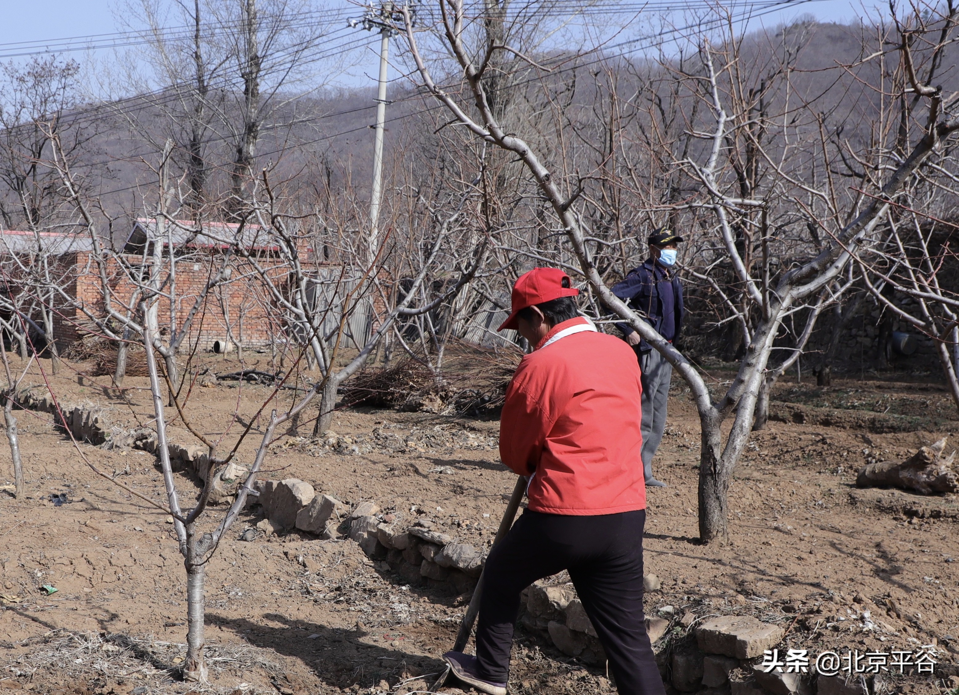 平谷山乡开通“春耕服务热线”保生产
