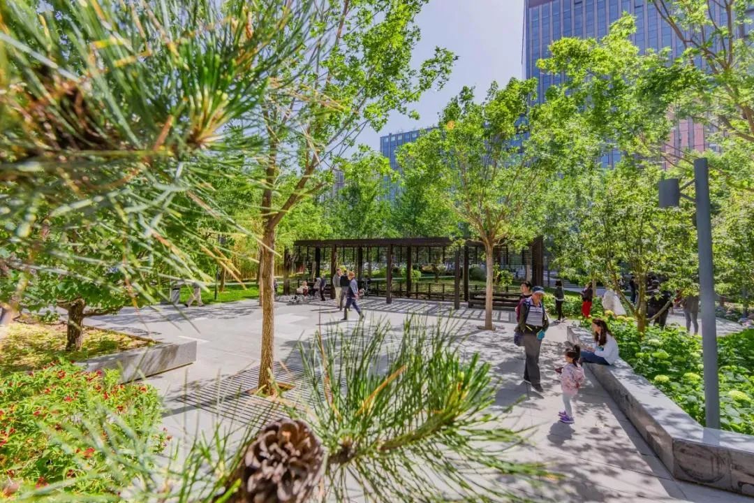 东城：建设“国际一流的和谐宜居之都”首善之区