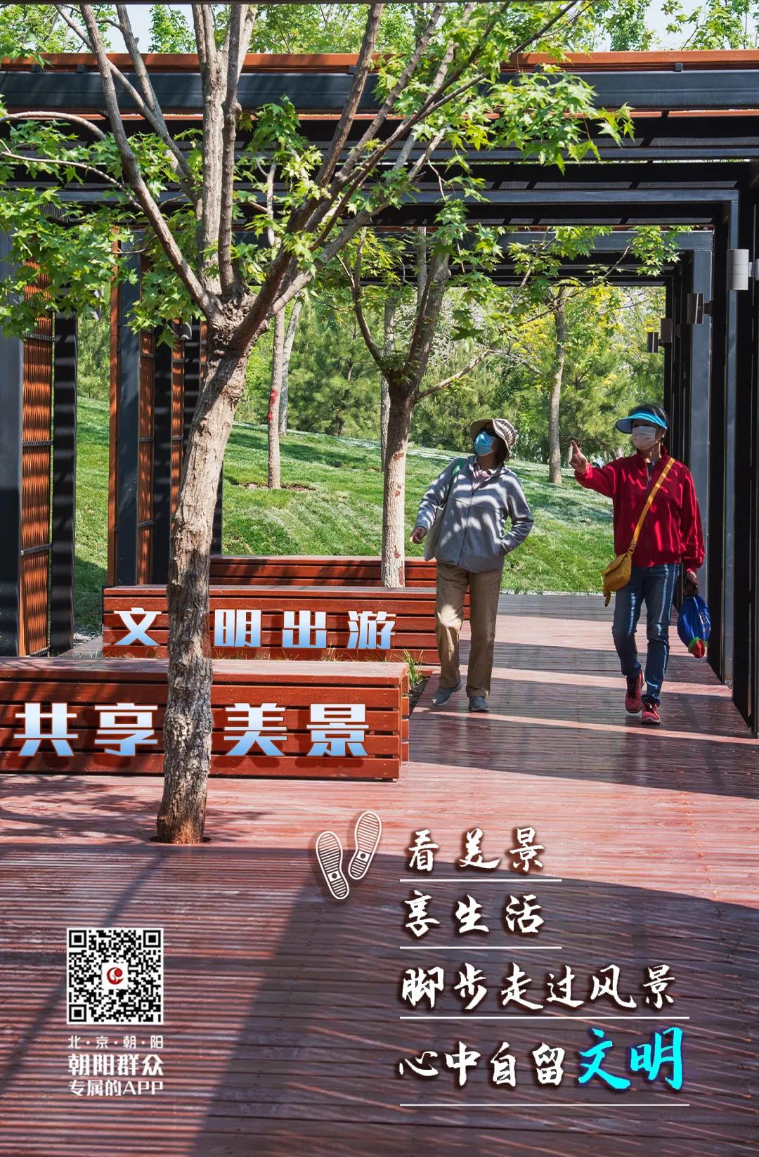 朝阳群众的文明行动