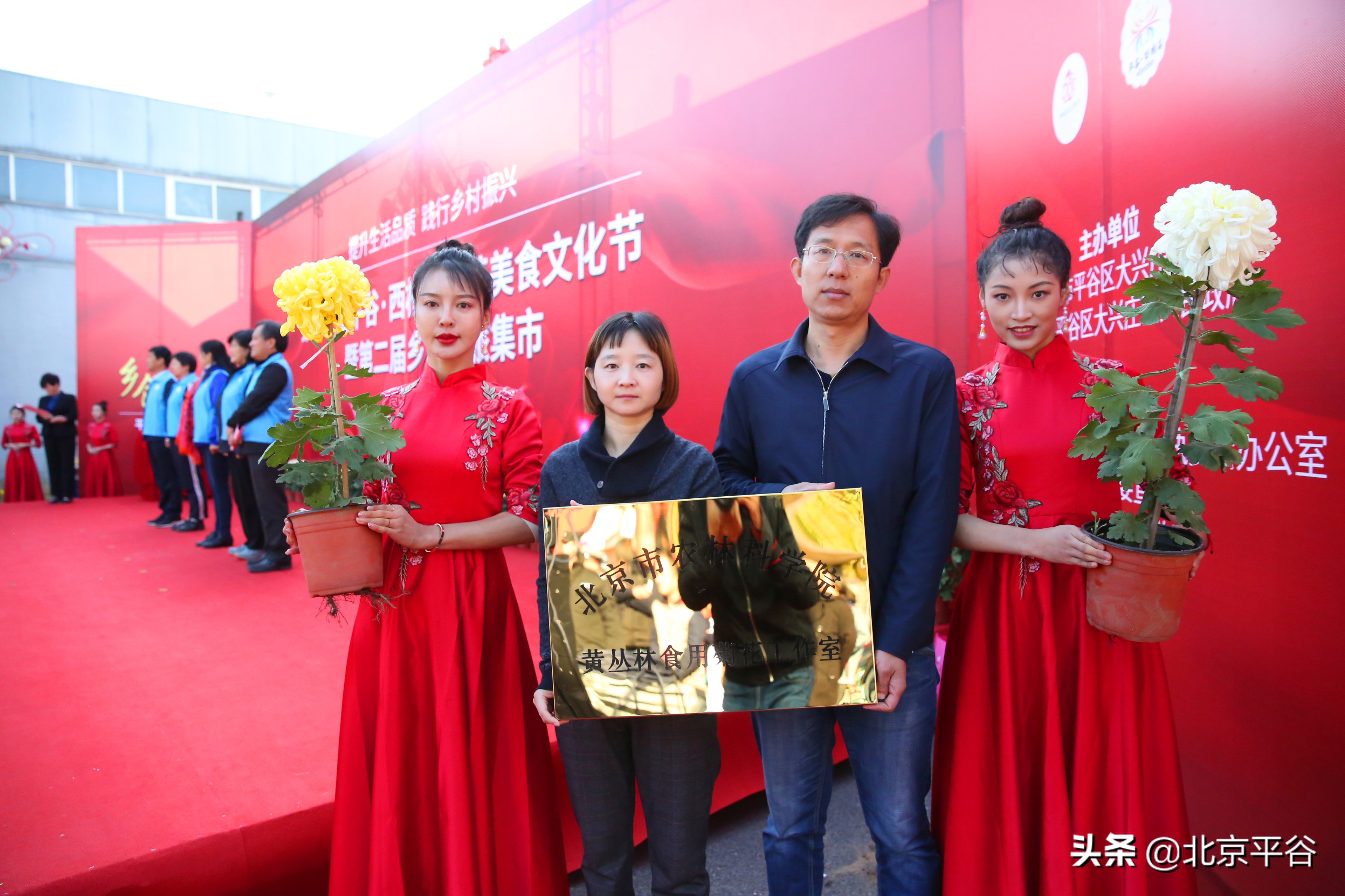 “全新一代食用菊花品种”在平谷区大兴庄镇全国首发