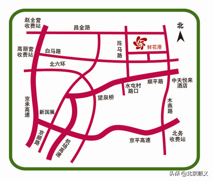 2022年北京郁金香文化节开幕，顺义融媒带您抢先看！