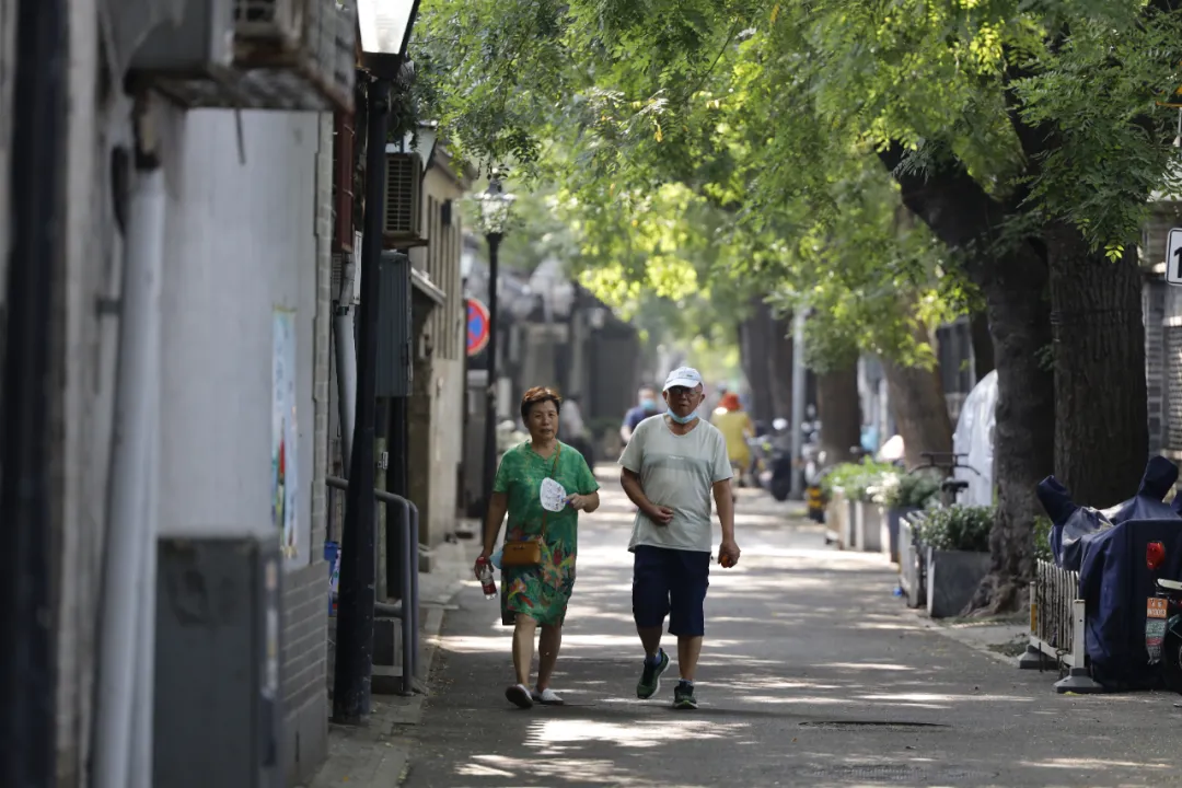 精致东城 | 胡同回归静美！东四首个不停车街区亮相