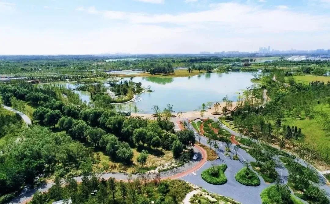 自动感应垃圾桶、AI跑道……温榆河公园朝阳示范区原来这么智能！