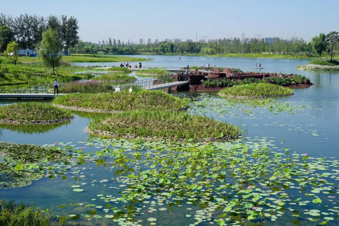 自动感应垃圾桶、AI跑道……温榆河公园朝阳示范区原来这么智能！