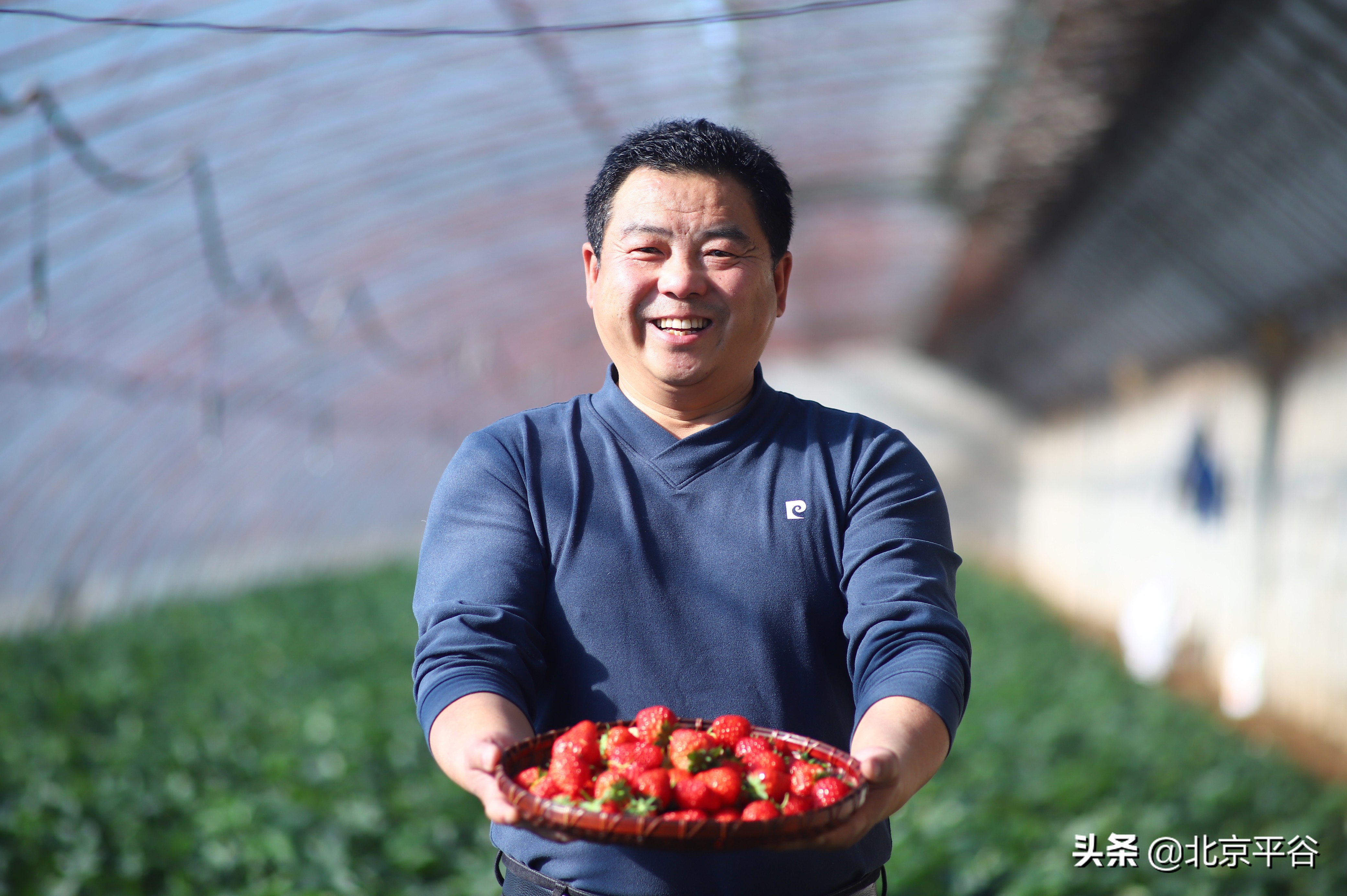 在京平安过大年 “慢”游平谷山东庄
