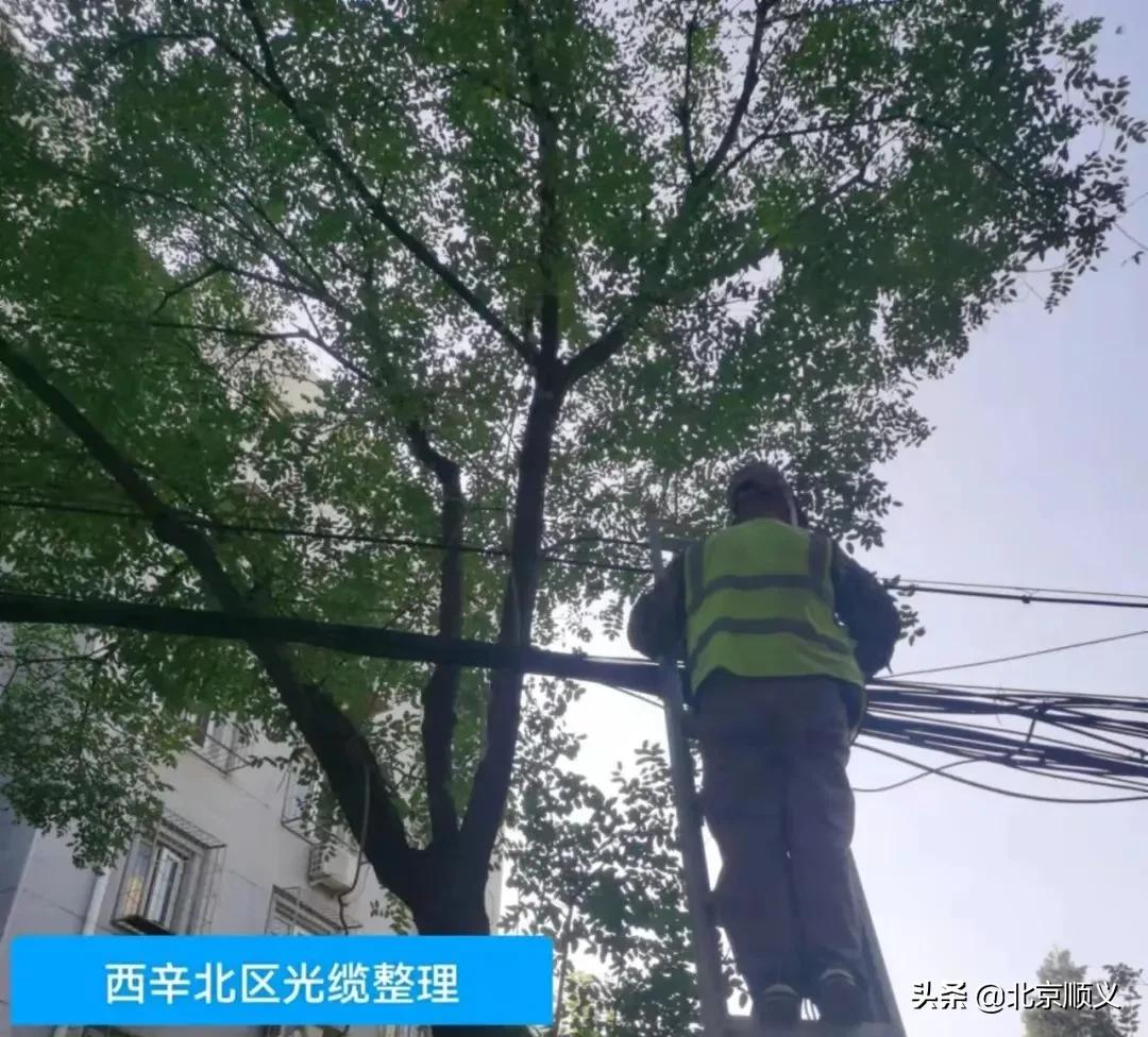 【创城有我】空中环境也要提升！旺泉街道为老旧小区捋齐“空中飞线”！