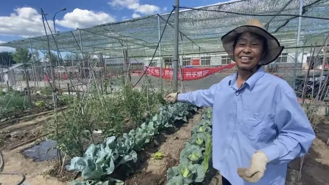 做一个“都市农夫”