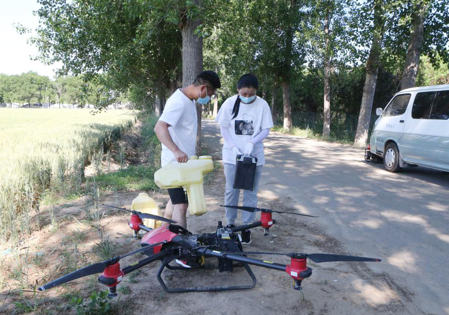 无人机出手，顺义小麦吃上“营养快餐”